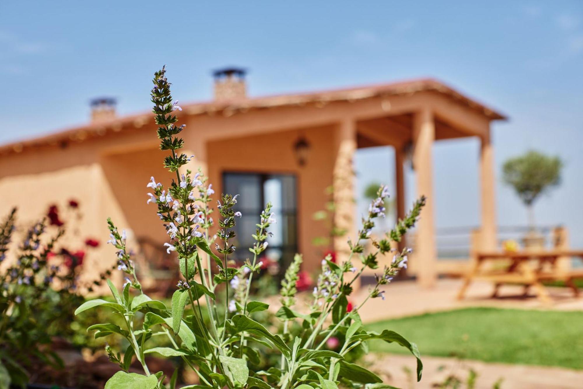 Bed and Breakfast Dar Imiri Урика Экстерьер фото